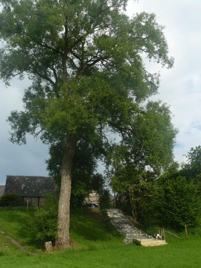 Bed and Breakfast La Fleur et Le Soleil  Durbuy Exterior foto